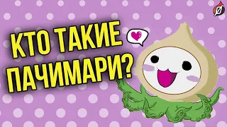 История Пачимари — главного маскота Overwatch #PachiMarchi