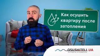 Затопило квартиру: как быстро осушить квартиру после затопления?