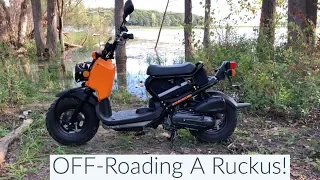 Can You Off-Road A Ruckus ?