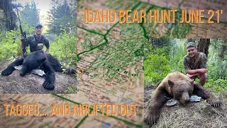 Idaho Bear Hunt- DIY Double- Hunter Gets Life Flighted Off Mountain