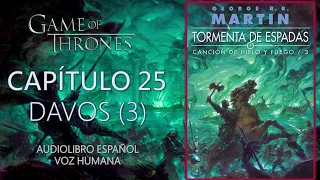 ⛈️TORMENTA DE ESPADAS ⚔ | CAPÍTULO 25 - DAVOS (3) |CANCIÓN DE HIELO Y FUEGO 3(Audiolibro español)