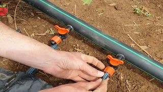 How to make a system for irrigating fruits and vegetables in the garden