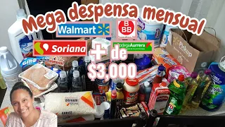 MEGA DESPENSA MENSUAL DE MAS DE $3,000