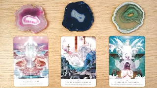 😍💖WHAT Is Their NEXT MOVE Towards You & The Connection?🌺🐈 PICK A CARD Timeless Love Tarot