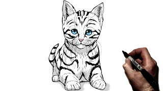 How To Draw A Kitten | Step By Step