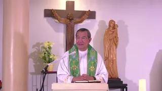 Judgmental ka ba? | Homily 04 July 2021 with Fr. Jerry Orbos, SVD on the 14thSunday in Ordinary Time