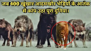 The True Story of 400+ Man Eating  Wolves That Terrorized USA , Canada & Russia। Facts Phylum