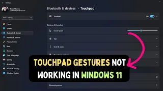 How to Fix Touchpad Gestures Not Working in Windows 11