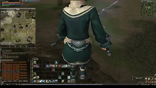 Test of The Healer (Class Change) Lineage 2 Reborn x1 Origin