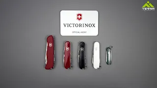 Який Victorinox обрати? | TOP 5 моделей