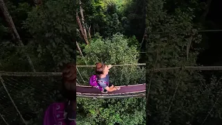 Walking the Taman Negara Canopy Walk