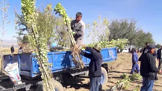 Рубрика «Всенародный проект «Зеленый край».