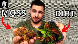 What's the Best Soil For a Flytrap - Soil Recipe for a Venus Flytrap