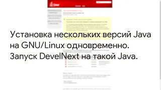 Установка нескольких версий Java на GNU/Linux одновременно | Запуск DevelNext на такой Java￼