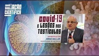 COVID-19 e lesões nos testículos