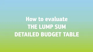 How to evaluate lump sum proposals: Detailed budget table