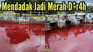 Viral, Air Sungai Mendadak Jadi Merah, Fenomena Apa - Jombang News