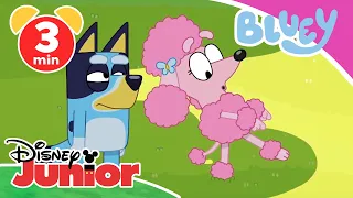 💙 Bluey - Clip: Schattenspiele | Disney Junior