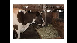 ОБЗОР МОЕГО ХОЗЯЙСТВА//ПОПОЛНЕНИЕ//ПОДСОБНОЕ ХОЗЯЙСТВО