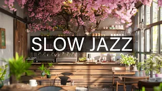 Slow Jazz Music with Lovely Day Cafe Ambience 🌸 Cozy Coffee Shop Relaxing Music - Background Music