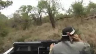 AM Safari Drive - Leopards - Oct 30, 2011