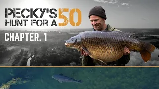 Pecky's Hunt for a 50, Chapter 1 | Darrell Peck | Trailer