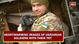 Heartwarming Images Of Ukranian Soldiers With Their Pets Amid War | Image Of The Day