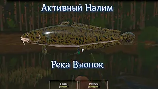 Вьюнок •  Налим • Активный клёв • РР4 • Русская рыбалка 4 • 2023 год