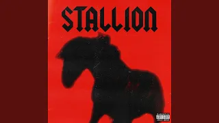 Stallion