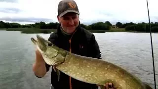 Catching Pike on Savage Gear 3D line-through Roach with Irish Fishing Tours on Lough Derg