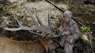 An Elk For Austin (Hunt of a Lifetime)