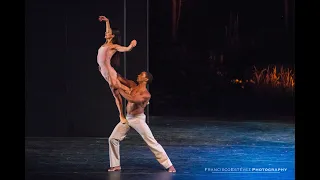 Alessandra Ferri & Craigh Hall in "After the rain" pas de deux by Christopher Wheeldon (Arvo Pärt)