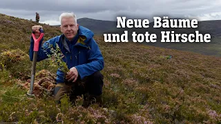 Die Aufforstung der schottischen Highlands | SPIEGEL TV für ARTE Re: