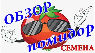 Сорта  помидор в 2019 г.  Какие сеем семена в СИБИРИ. Какой сорт ЛУЧШИЙ! Как сеять правильно.