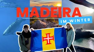 Warum MADEIRA das perfekte Reiseziel im Winter ist! ❄️ | Wale, Vulkane und digitale Nomaden 🇵🇹🐋🌋
