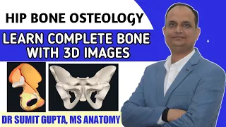 HIP BONE OSTEOLOGY