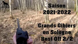 Chasse renards, chevreuils, sangliers et cervidés en Sologne /  Best Off 2/2 Saison 2021-2022