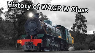 History of the WAGR W Class