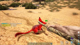 ARK Survival Evolved Выжженная Земля #1