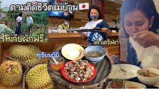 ตามติดชีวิตแม่บ้านญี่ปุ่นหลายเรื่องราวเปิดสวนให้เก็บผักฟรีร้านขายของไทยมีอะไรขายร้านอาหารไทยก็มีหรอ