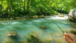 Fly Fishing BEAUTIFUL Water for Trout! (Brown Trout, Brook Trout, and Rainbow Trout)