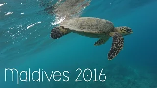 Maldives 2016 - Sun Island Resort & Spa