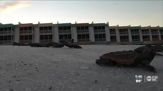 Tropical Storm Elsa disturbs nearly 150 sea turtle nests on Pinellas County beaches