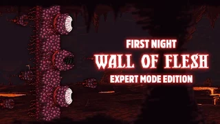 Terraria 1.3.1 - [Expert Mode Speedrun] Wall of Flesh on First Night