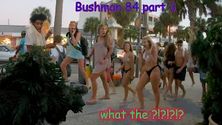 bushman 84 part 3 what the --------