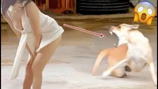 New Funny and Fail Videos 2023 😂 Cutest People Doing Funny Things 😺😍 #8 Awesome Funny