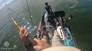 Great White Shark Jumps Right Next to Kayaker