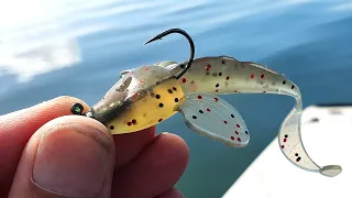 Is this the BEST Flathead Soft Plastic ?? The Flat Edge 80