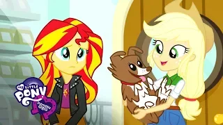 «Pet Project» Canterlot Short Ep. 6 | MLP: Equestria Girls Russia