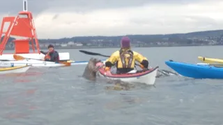 Der Paddler merkt, dass er verfolgt wird. Was er dann filmt, wird er nie vergessen